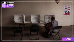 Elección judicial registra participación más baja de la historia; votos nulos, por boleta confusa y desinterés: consejero del INE