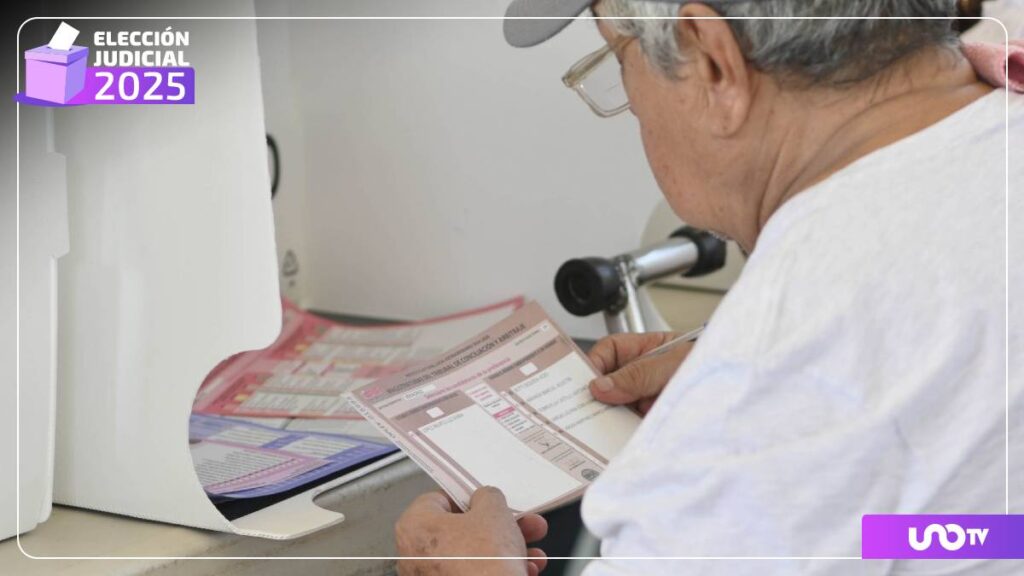 Elecciones en Veracruz 2025: ¿Dónde ver los resultados en vivo este 1 de junio?