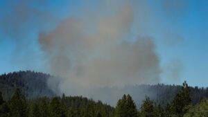 Emboscada contra bomberos durante incendio deja al menos 2 muertos en Idaho, Estados Unidos
