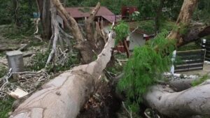 Erick dejó comunidades sin luz y con las carreteras bloqueadas a su paso por Oaxaca