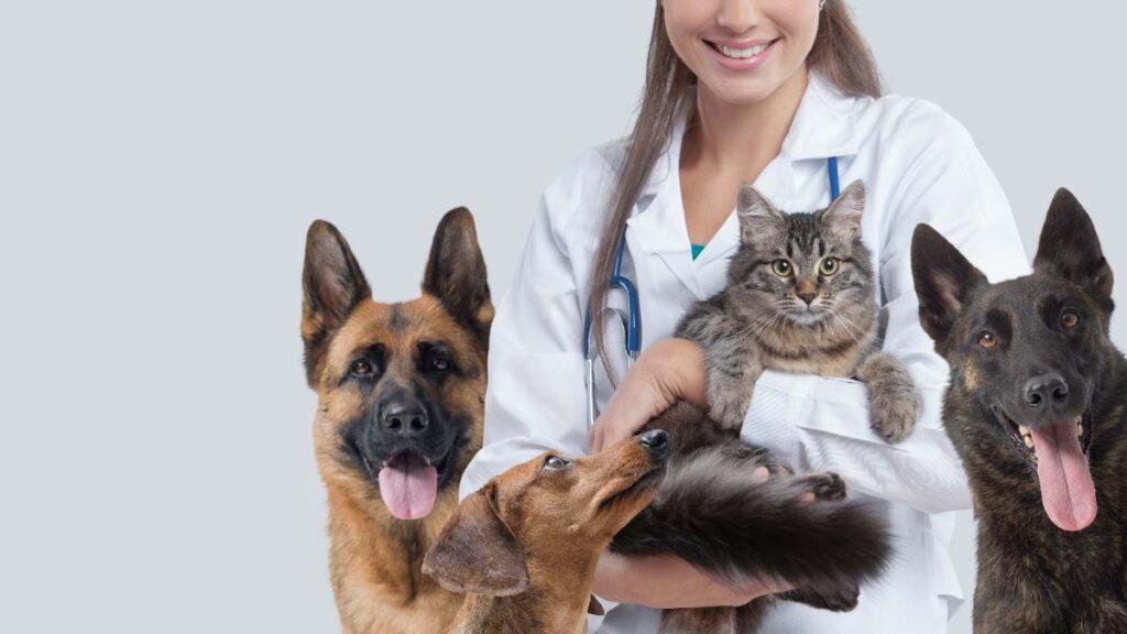 Esterilizaciones Unam