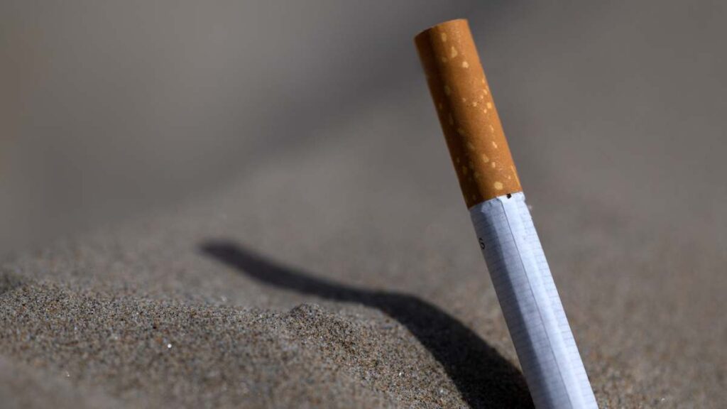 Francia Ley Prohibe Fumar Multas