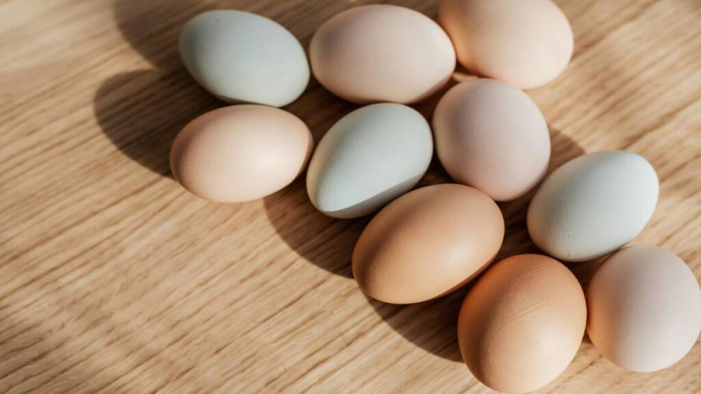 ¿Por qué se forman hilos blancos en la yema del huevo? Esto dice experto
