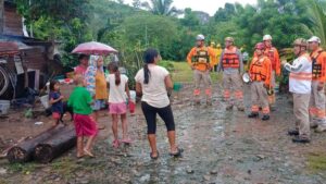 Árboles caídos, derrumbes y viviendas afectadas deja huracán Erick en, al menos, 12 municipios de Chiapas