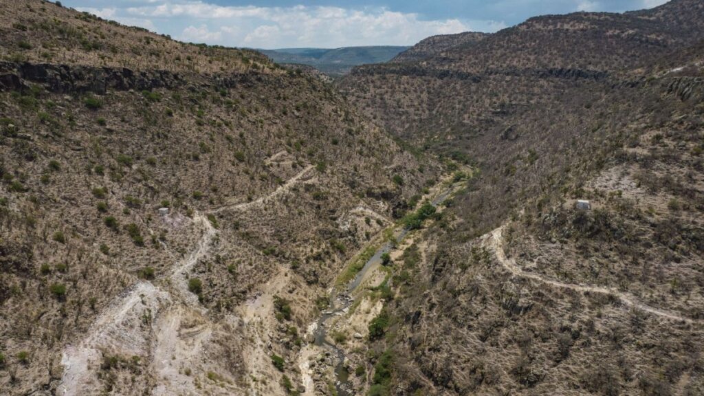 México tiene 100 millones de hectáreas de suelos forestales en proceso de degradación
