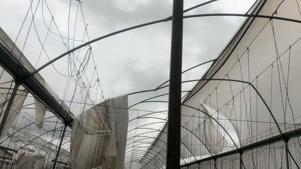 Mini tornado deja 10 casas y 2 viveros destrozados en Chignahuapan, Puebla