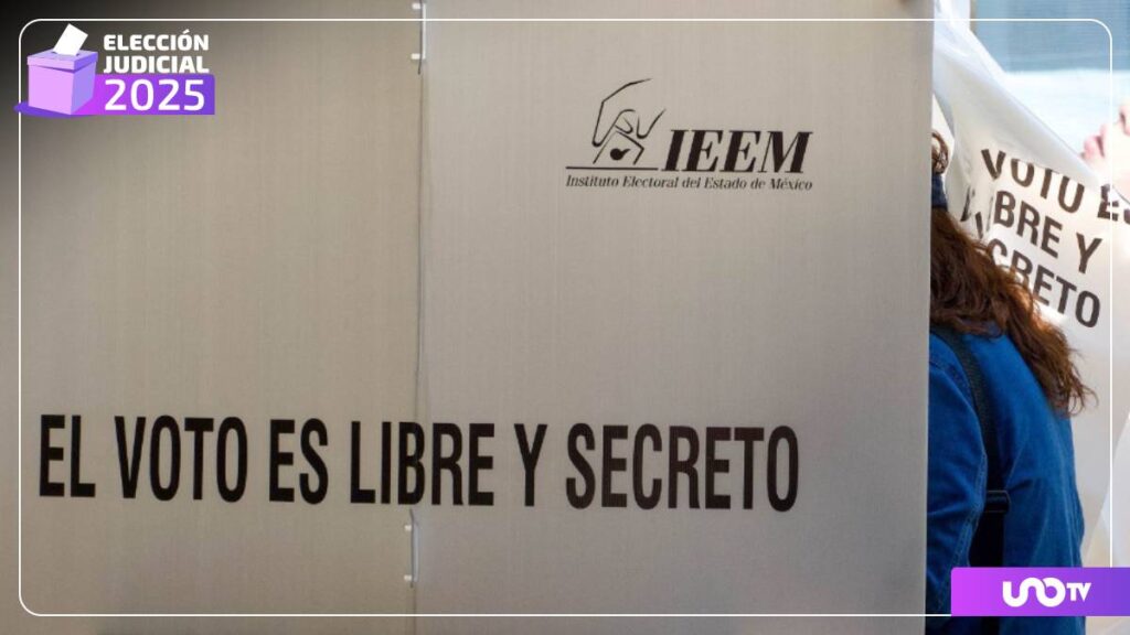 Muere mujer de la tercera edad en fila para votar en Veracruz; esto le ocurrió en plena jornada electoral