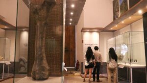 Secretaría de Cultura ordena restablecer seguridad en museos del INAH para reabrirlos “a la brevedad”