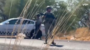 Localizan “narcoinvernaderos” en la frontera entre Zacatecas y Nayarit