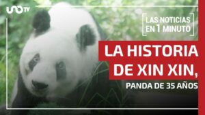 Noticias de hoy 30 de junio de 2025, en un minuto, hasta las 14:00 horas