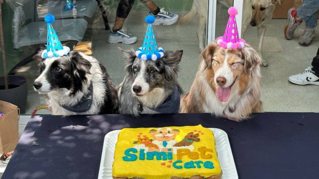 Perros Simi