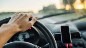 Así puedes tramitar tus placas en Nuevo León si las perdiste; ve precios