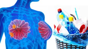 ¿El plástico causa cáncer de mama? Esto dice estudio de la UNAM