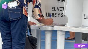 Votantes usan acordeón en casillas de Acapulco durante elección del Poder Judicial