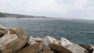 Cohete de SpaceX deja materiales aeroespaciales peligrosos en playa mexicana; alertan por daño ambiental