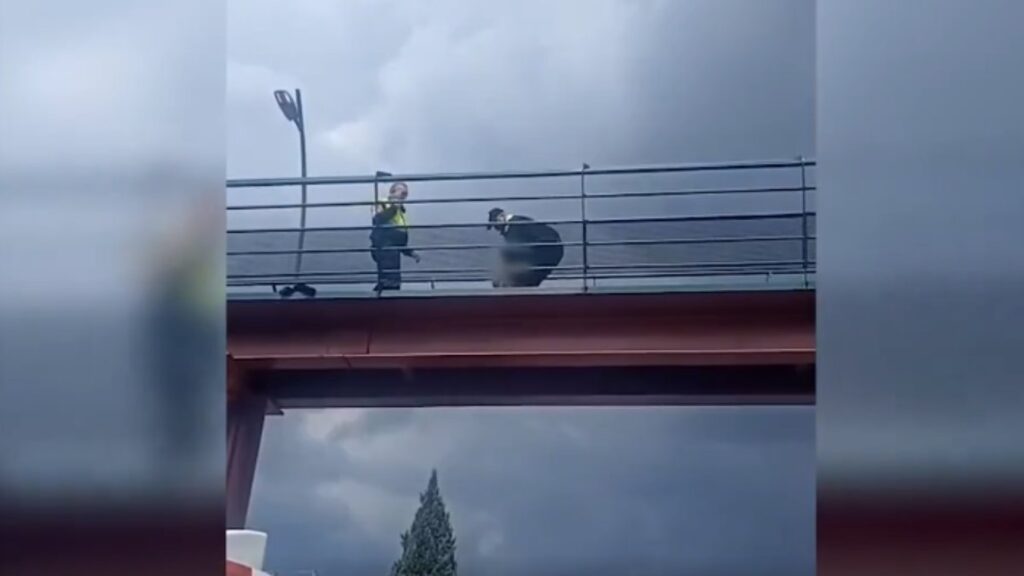 Policías de la CDMX evitan suicidio