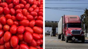 Así funcionaba el acuerdo de 2019 que evitaba aranceles al jitomate mexicano