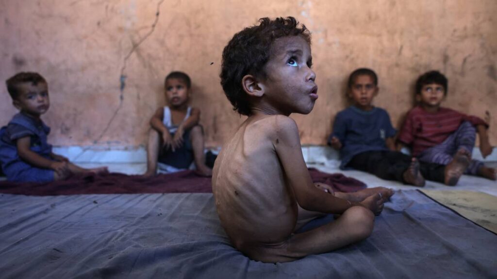 Gaza se muere de hambre