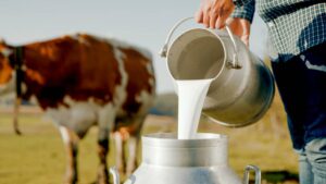 4 alimentos que evita una ingeniera de alimentos: ¿Te gusta la leche cruda?