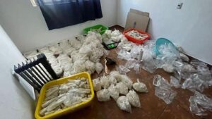 Aseguran 800 kilos de metanfetamina y detienen a 2 en Michoacán; agredieron a policías