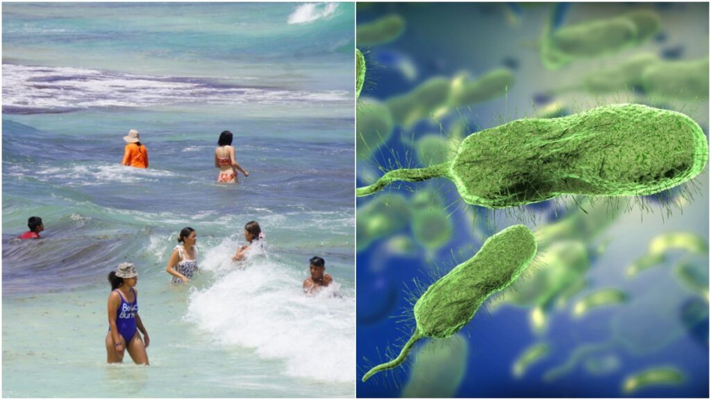 Alertan por bacteria "come carne", cómo cuidarse en vacaciones