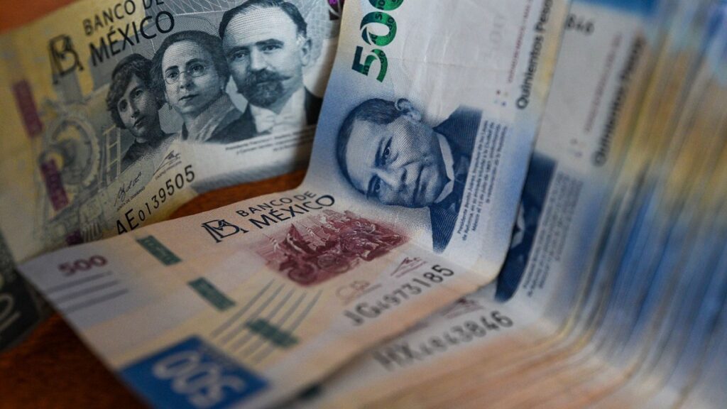 registro programas del bienestar