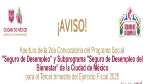 ¿Quieres el Seguro de Desempleo CDMX 2025? Éstos son los requisitos para solicitarlo