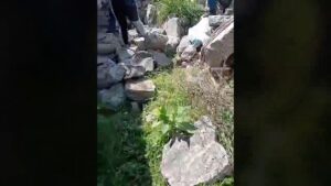 Reconocen a desaparecido en Jalisco gracias a tatuaje; lo vieron en transmisión en vivo