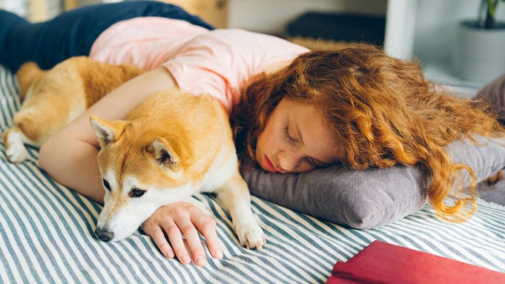 Beneficios y riesgos de dormir con una mascota