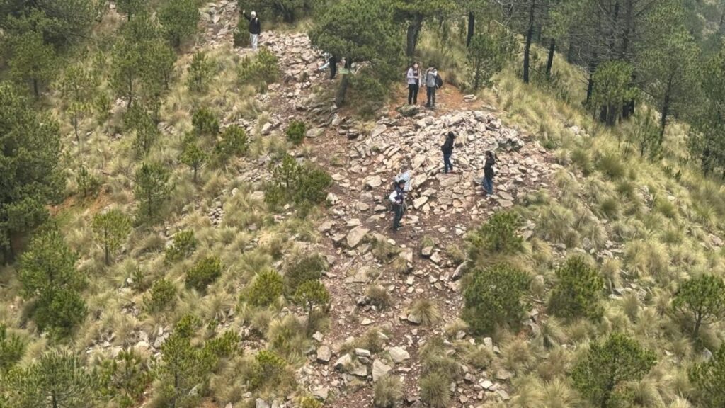 Búsqueda en el Ajusco