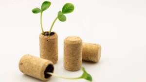 No los tires: los corchos pueden ayudar a las plantas de tu jardín