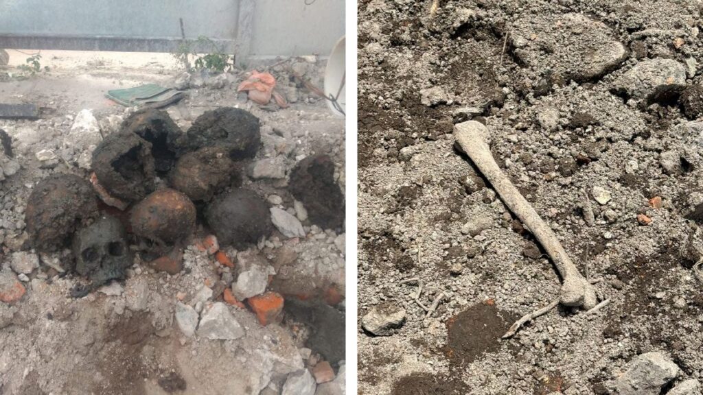 Hallan cráneos humanos en obra de departamentos en la Cuauhtémoc
