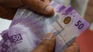 Bajo la asignación familiar se puede subir la pensión bajo el régimen 73 del IMSS