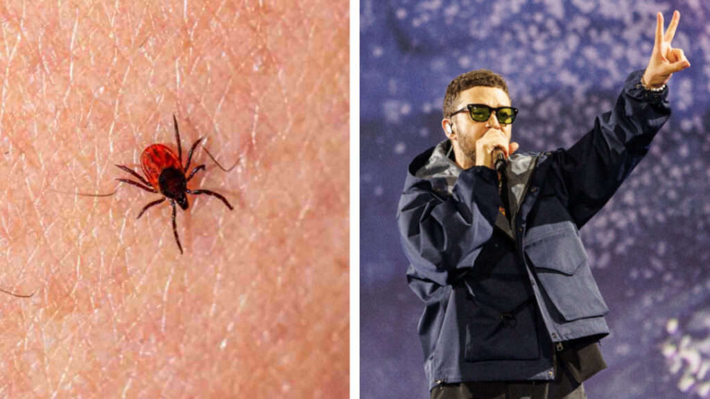 Causas y síntomas de la enfermedad de Lyme