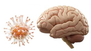 La pandemia pudo envejecer tu cerebro, incluso si nunca tuviste COVID-19