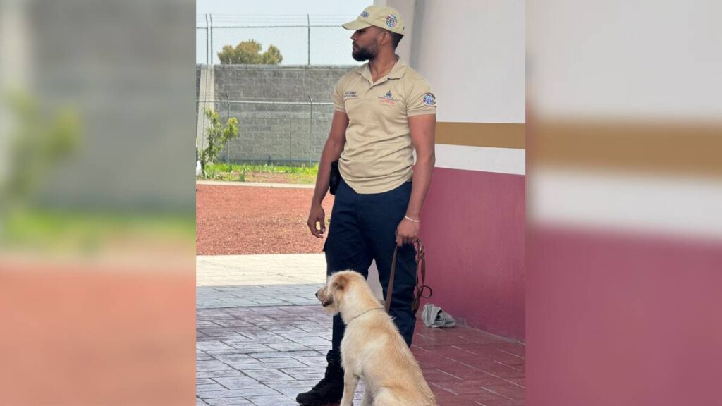 Perros entrenados para detectar gusano barrenador