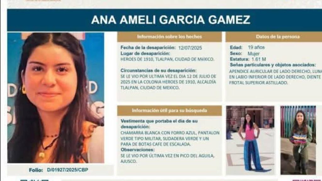 Ficha de búsqueda Ana Ameli