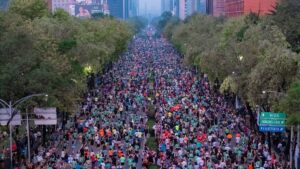 Flores, pasto y contratos: CDMX lanza licitación para mantener sus áreas verdes