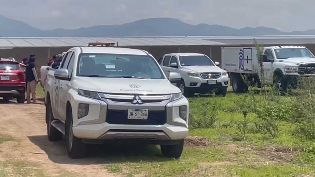 Autoridades investigan una fosa clandestina en Jalisco.