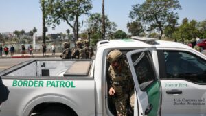 Hallan menores de edad trabajando en cultivo de marihuana durante redada migratoria; SRE ofrece apoyo a connacionales