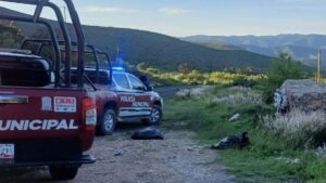 Hallan restos desmembrados en municipio de Nicolás Bravo, Puebla