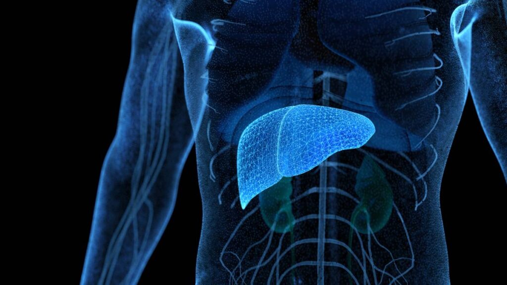 Hepatitis: ¿qué es, cuántos tipos hay y cuál es la más común en México? Esto dice experto