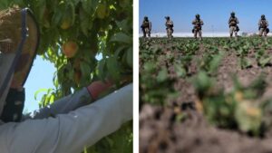 Campesinos y activistas convocan a huelga tras muerte de trabajador en redadas de ICE