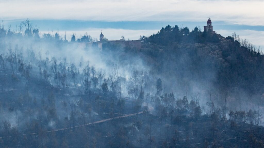 Inicia reforestación del Cerro de la Bufa, tras grave temporada de incendios en Zacatecas