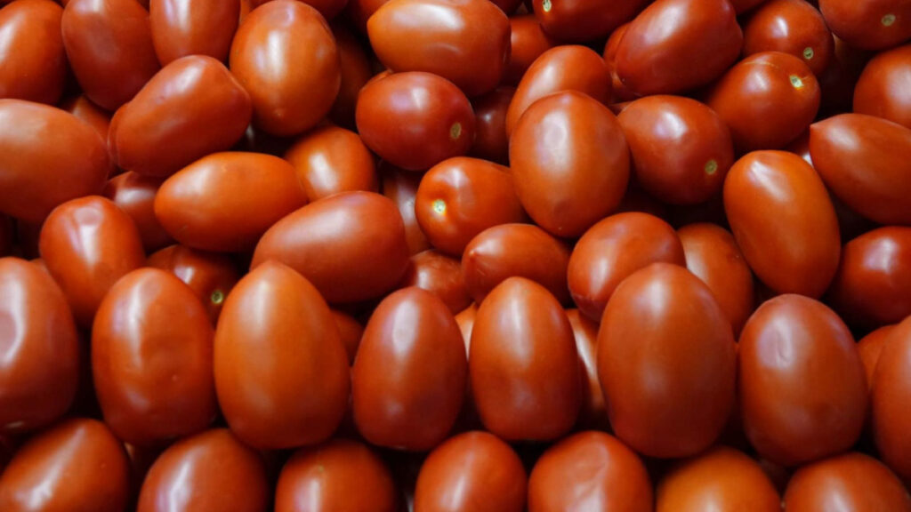 EE. UU. confirma arancel del 17% a jitomates mexicanos