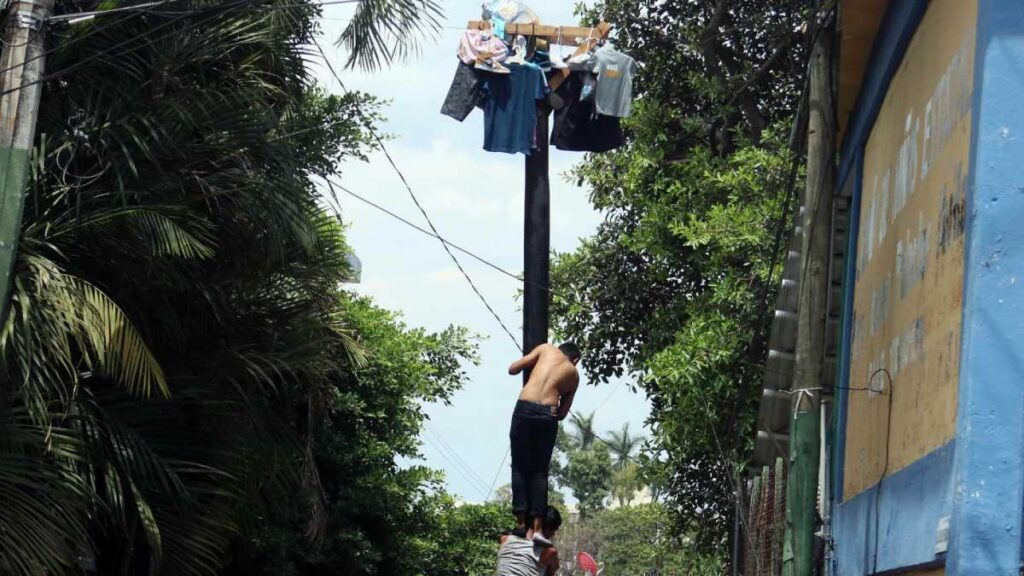 Jóvenes caen de palo encebado.