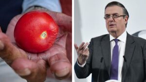 “Mientras se negocia arancel del 17% al jitomate, hay que pagarlo”: Ebrard