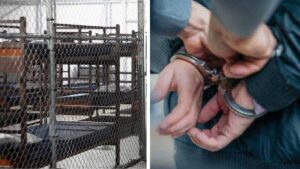 EE.UU. estudia abrir otros “Alligator Alcatraz” en Arizona, Nebraska y Luisiana