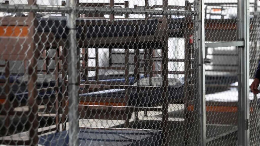 Mexicano detenido en Alligator Alcatraz