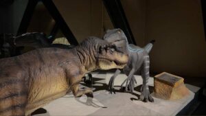 Museo del Meteorito narra la última gran extinción hace 66 millones de año